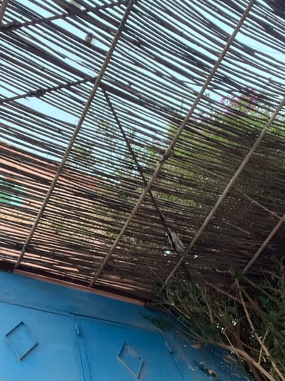 A ground-level angled shot depicts a rudimentary, light-filtering barrier comprised of evenly spaced reeds held together by horizontal supports. Some green vegetation is seen through the barrier. A blue wall or structure with inset diamond shapes is on the right edge. The location is Ouaouizert, Morocco. No people or interaction is seen in the frame.
