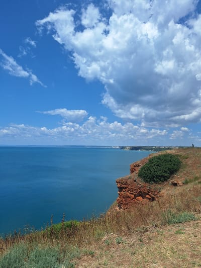 This is a photograph of the Black Sea coast near Balgarevo, Bulgaria. The image captures a dramatic cliffside overlooking a vast expanse of blue water under a partly cloudy sky. The foreground is dominated by dry, grassy vegetation and a protruding red rock cliff face. A dense green bush grows on top of the cliff. In the distance, the coastline curves into the horizon, with hints of buildings and possibly a radio tower visible. The sea is calm and deep blue, reflecting the sky. The clouds are large and white, with some darker, more ominous formations mixed in, suggesting dynamic weather conditions. There are no people or animals visible in the frame. The overall impression is one of natural beauty and rugged coastal landscape.