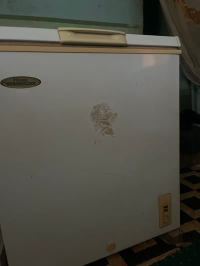 The image shows the exterior of a white refrigerator with a gold handle on the left side. On the top right of the refrigerator door, there is a gold-colored badge with the text "BITLO" and some colorful indicators, possibly representing temperature settings. Towards the bottom left, there is an oval-shaped badge with the text "Haier THERMOCOOL" in green and black lettering. There is a light brown stain or mark in the center of the refrigerator door. The refrigerator is set against a backdrop that includes a patterned rug or flooring and a wall. The lighting in the image is dim, suggesting it was taken indoors in low light conditions. The overall impression is of an older appliance in a home environment. The location is Jauro Yinu, Nigeria.
