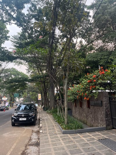The image depicts a street scene in Bandung City, Indonesia, likely during the day with overcast or diffused lighting, suggesting a cloudy sky. The perspective is from a slightly elevated viewpoint looking down a tree-lined street.
The foreground features a black car, possibly a Suzuki, parked on the right side of the road. Its license plate reads "D 1642 YCZ". To the right of the car is a paved sidewalk with a grid pattern of square stones. Beyond the sidewalk, a stone wall is visible, with a sign that reads "talaga bodas 9" in a dark, vertical rectangle. Red flowers bloom on a vine climbing the wall, adding a splash of color to the scene.
The street is heavily canopied by large trees, their branches laden with leaves and crisscrossed with numerous electrical wires. This dense foliage creates a dappled light effect on the road and sidewalk. Further down the street, other vehicles and some parked motorcycles are visible, indicating a moderately busy urban environment. Various street signs and advertisements can be seen in the distance. The overall impression is of a green and somewhat cluttered urban street, characteristic of many residential or commercial areas in a tropical climate. There are no discernible people in focus, and the scene appears to be a typical street view without any specific event taking place.