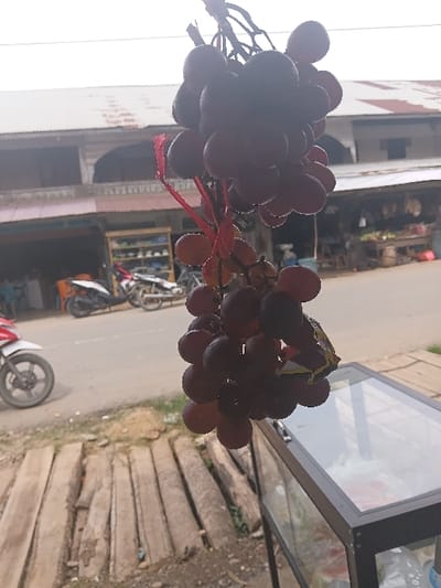 Two bunches of red grapes hang in front of a building and wooden planks. A red string-like object is tied around the left bunch. The background reveals a street scene with a motorcycle, scooter, and other vehicles. A display case is partially visible on the right side of the frame. The image appears to be taken outdoors during the day.