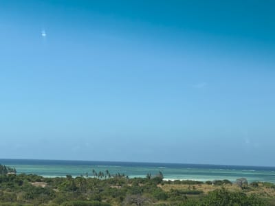 The image shows a view of the coastline in Muxara, Mozambique. In the foreground is dense, green vegetation consisting of bushes and trees. In the middle ground, there is a lighter turquoise ocean with small waves. In the background, the sky is light blue and mostly clear, with a slight haze. There are no people visible in the image.