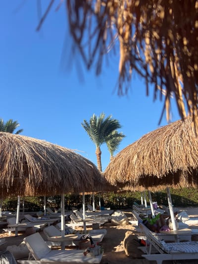 The image depicts a beach scene under a clear blue sky. In the foreground, the thatched roof of a beach umbrella is visible, casting shadows and creating a natural frame. Beyond the umbrella, several white lounge chairs are set up on a sandy area, some occupied by people. A palm tree stands tall against the sky, with another smaller palm visible at the bottom. The scene suggests a relaxing day at a resort, likely in a warm climate, given the presence of palm trees and beach chairs. The lighting indicates it's daytime, possibly late morning or early afternoon, with the sun casting distinct shadows. The overall mood is one of leisure and vacation.