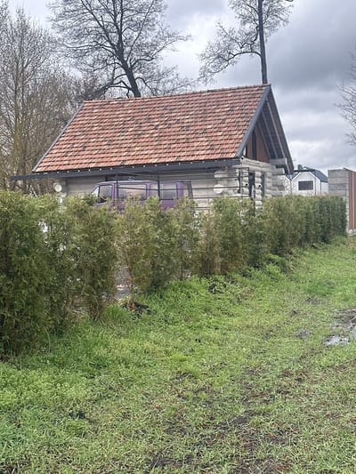 The scene depicts a house with a distinctive red tile roof and light gray walls in what appears to be a rural area, possibly a suburb. The lower portion of the house is obscured by dense green shrubbery. A vehicle, partially hidden behind the shrubs, shows a glimpse of purple paint. To the right of the house, an area of overgrown grass is visible, suggesting a less manicured landscape. The sky is overcast. Bare tree branches are prominent in the top and left parts of the frame. Given the prompt specifies the location as Irpin, Ukraine, this is likely a residential area on the outskirts of the city.