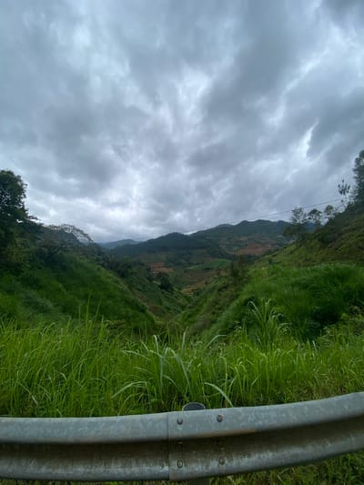 The image displays a vast, verdant mountain valley in Mù Cang Chải, Vietnam, under a heavily overcast, grey sky. A weathered, silver-grey metal guardrail with visible rivets and seams occupies the bottom portion of the foreground, extending horizontally across the frame. Immediately behind the guardrail and ascending the slopes is a dense expanse of tall, vibrant green grass and other foliage. The middle ground and background feature multiple layers of rolling hills and mountains, all densely covered in lush green vegetation and trees. On the distant slopes, distinct terraced fields, appearing in shades of brown and reddish-brown, are visible, indicating extensive agricultural cultivation. Faint, dark lines, likely power or communication cables, are discernible spanning across the mid-ground against the distant hills. The scene is devoid of any human or animal presence, captured under a diffused, consistent light from the dense cloud cover.