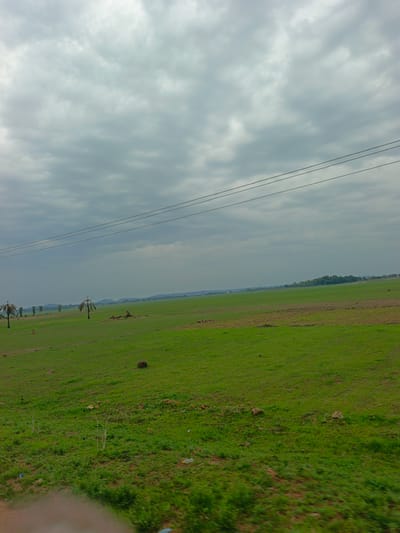 The image shows a landscape of a green field under an overcast sky in Agban, Nigeria. The field is primarily covered in grass, with patches of darker soil visible in the distance. There are a few scattered trees, some of which appear to be palm trees. A few rocks are also scattered on the field. Electrical wires stretch across the top of the image. In the background, a line of trees and low hills is visible on the horizon. The lower portion of the image shows blurry vegetation, possibly indicating movement during the capture. The image appears to be taken from a moving vehicle.