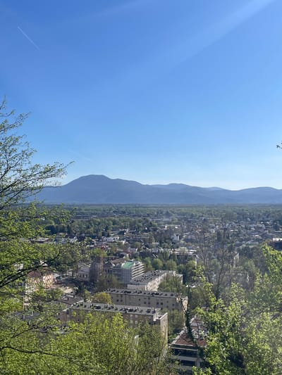 The image depicts a view overlooking the city of Ljubljana, Slovenia, from an elevated vantage point, likely a hillside or small mountain. The scene is dominated by a clear blue sky, with faint contrails from a passing airplane visible on the left. The city stretches across the valley floor, punctuated by residential and commercial buildings interspersed with trees and green spaces. In the background, a mountain range creates a hazy horizon. In the foreground, foliage partially obscures the view, adding depth and framing the cityscape. The sunlight suggests it is daytime.