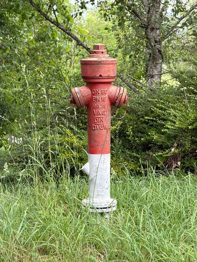The image displays an outdoor scene featuring a weathered red and white fire hydrant set amidst dense green vegetation. No people or animals are present.
The main subject is a sturdy, presumably cast-iron fire hydrant, with its upper section painted a faded red and its lower base a grimy white. The paint exhibits signs of age and wear, including rust spots and flaking, particularly on the red portion. The hydrant features several caps and connection points.
Prominently displayed on the red body of the hydrant are several engraved or cast markings: "DN 80" (likely indicating a nominal diameter of 80mm), "PN 16" (suggesting a nominal pressure of 16 bar), "G625" (possibly a model or part number), "VAG" (identifying the manufacturer, a German company), "DIN" (referencing the German Institute for Standardization), and "DVGW" (the German Technical and Scientific Association for Gas and Water). These markings align with infrastructure standards typically found in Luxembourg.
The hydrant is partially overgrown by its natural surroundings. To the left, the trunk and leafy branches of a light-barked deciduous tree, possibly a birch, are visible. The background and areas immediately surrounding the hydrant are filled with various green plants, including dense bushes with small leaves and tall, light green grass, some of which has developed seed heads. The overall setting appears somewhat wild and unkempt.
The scene is captured during daylight hours, indicated by the bright yet diffused natural lighting, which suggests either an overcast sky or a time when direct sunlight is not intense. There are no distinct shadows. No activity or event is taking place; the image portrays a static view of the hydrant in its environment. The location in Leudelange, Luxembourg, is consistent with the visible details and type of utility equipment.