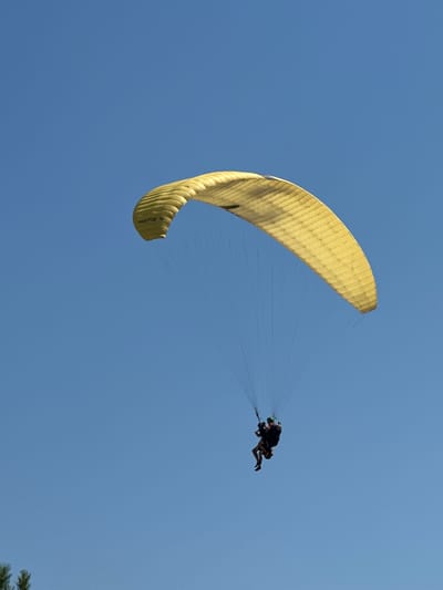 A paraglider is captured mid-flight against a clear blue sky, a common sight in Fethiye, Turkey, particularly over Ölüdeniz. The paraglider, a tandem setup, carries two individuals who are suspended below a large, bright yellow canopy. The pilot, wearing a dark outfit and a green helmet, is in control, while the passenger, also in dark clothing, is seated beside them. The paraglider's lines, thin and numerous, connect the canopy to the harness where the individuals are secured. The canopy exhibits some shading and markings, including the text "METIS 4." In the lower left corner of the frame, a sliver of dark green pine branches is visible, hinting at a terrestrial landscape below. The overall scene is one of serene aerial activity against a vast, unobstructed sky.