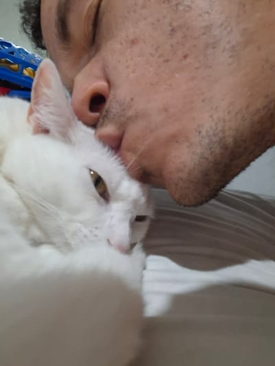A close-up shot depicts a man and a white cat. The man's eyes are closed, and his face is close to the cat. The cat is positioned with its nose near the man's nose. The cat has yellow eyes. A white curtain or sheet is visible behind the man and cat. There is a blue object partially visible behind the cat, near the top of the frame.
The location details are not discernible in this image.