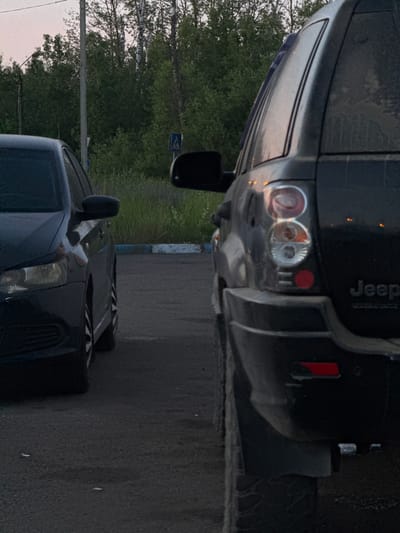 The image captures an outdoor scene in the city of Novo-Nikolskoye, Russia, likely during dusk. Two dark-colored cars are parked side-by-side on an asphalt surface. The car on the left, a sedan, is partially visible from the front quarter, revealing its headlights and wheel. The car on the right, an SUV, is seen from the rear quarter, with its taillight assembly, "Jeep" badging, and a portion of its tire in view. The background consists of dense green trees and vegetation, with a utility pole and a pedestrian crossing sign visible to the left of the vehicles. The sky is overcast, indicating diffused natural light.