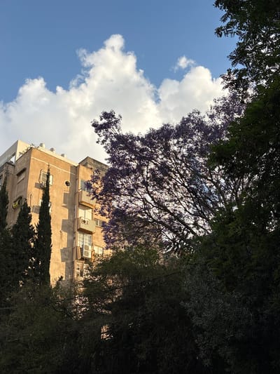 An upward-angled view reveals a building in Ramat Gan, Israel. The building is tan with multiple windows, some of which have what appear to be air conditioning units installed. The building is partially obscured by tree foliage on both sides, with purple blossoms evident on a tree toward the center-left. The sky is visible, showing a blue expanse with puffy white clouds. The composition suggests an urban setting with elements of nature integrated into the built environment.