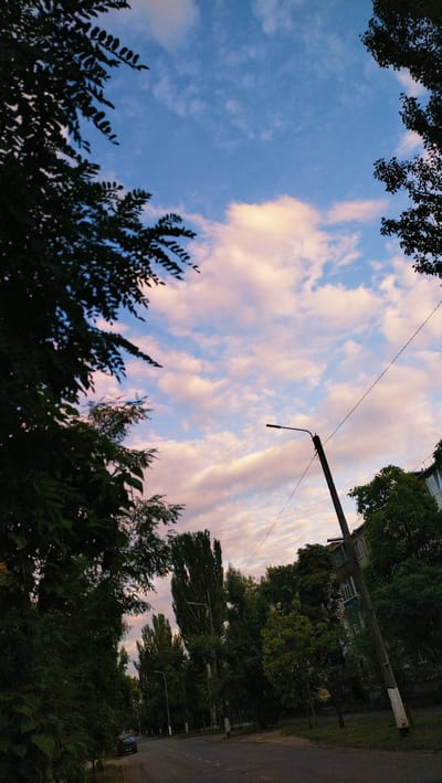 The image depicts a street in Horishni Plavni, Ukraine, likely during the late afternoon or early evening, given the soft, pastel colors of the sky. The sky is a prominent feature, filled with scattered clouds tinged with pink and orange hues against a backdrop of blue. Lush green trees frame the scene, their dark silhouettes contrasting with the brighter sky.

In the mid-ground, a paved road runs along the left side of the image. A dark-colored car is parked on the side of the road. A tall, slender lamppost with a single light fixture stands on the right side of the road, leaning slightly. Utility wires are visible crisscrossing the frame.

Further into the scene, a multi-story building with visible windows can be seen partially obscured by trees. The trees lining the street are varied in height and density, with some tall, narrow trees and other more mature, leafy ones. The overall impression is of a residential or neighborhood street in a city, with a significant presence of mature trees and vegetation. There are no people visible in the image. The environment appears to be an urban setting, but with a strong natural element due to the abundant greenery.