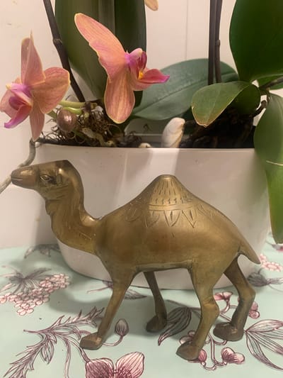 The image shows a brass camel figurine placed in front of a white pot containing an orchid plant with pink and orange flowers and green leaves. The figurine is positioned on a light blue surface with a floral pattern in shades of pink and dark red. In the background, parts of the white pot and the orchid plant are visible. The lighting appears to be natural. There are no people present in the image. The scene is indoors and does not provide any specific indicators of its location in Lisbon, Portugal.