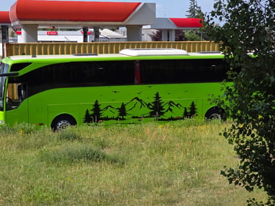 A bright green bus with black windows and a nature-themed decal of trees and mountains is parked in a grassy field. The bus has a white roof with a vent. In the background, a gas station with red awnings is visible, along with a yellow shipping container. The gas station appears to be part of the "Mylnia" chain, indicated by a sign with the company logo. The sky is clear and blue. The scene is likely located in Gdańsk, Poland, possibly near a highway or rest stop given the presence of a gas station and bus.