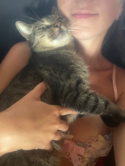 The image depicts a close-up of a person holding a tabby cat. The cat is positioned on the person's chest, with its head tilted upwards and its eyes looking towards the camera. The person's hands are visible, gently supporting the cat. The person is wearing a light-colored, possibly pink, bra with lace detailing. The background is dark and out of focus. There is no discernible information in the image that suggests a location in the city of Šušanj, Montenegro.