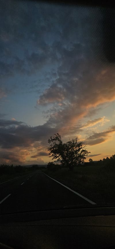 The image depicts a rural road scene at dusk or sunset in Dolna Banya, Bulgaria, photographed from inside a vehicle. The upper two-thirds of the frame are filled with a dramatic cloudy sky, transitioning from dark blue-grey and dense cloud formations in the upper left to vibrant hues of orange, pink, and light blue towards the horizon on the right, illuminated by the setting sun. The clouds exhibit varying textures and densities.
An asphalt road, marked with faint white dashed lines on the left and a solid white line on the right shoulder, extends from the lower center of the frame into the distance. A prominent, dark silhouette of a deciduous tree with a relatively full canopy stands to the right of the road in the midground, contrasting sharply with the illuminated sky. Dark, sparse vegetation lines the roadside. Distant hills or mountains are faintly visible as dark silhouettes against the lighter horizon line. The immediate foreground shows a dark, textured surface, indicative of a car's dashboard or interior panel, confirming the vantage point from within a vehicle. The scene is characterized by low light conditions, producing strong silhouettes and emphasizing the vibrant colors of the twilight sky. No people or active subjects are present.