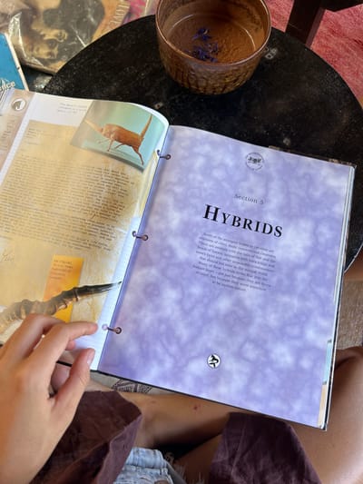 A person sits at a dark, circular table outside. A book titled "HYBRIDS" is open on the table, with a teacup next to it. The person is holding a page with the text 'KDJ.094-043 KI-LIN HORN PURCHASED IN SHANGHAI MARKET' on it. Nearby there is also a magazine entitled "LOVE." The location is not discernible from this image.