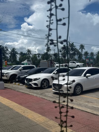 The image shows a row of white cars parked along a street. The cars are modern and appear to be luxury sedans. They are parked on a paved surface next to a sidewalk made of red and yellow tiles. In the background, there are palm trees and a cloudy sky. The scene appears to be set in a tropical location. The image is taken from a low angle, looking up at the cars and the sky. There are some blurry branches or wires in the foreground, obscuring parts of the image. The lighting suggests it is daytime, possibly late morning or early afternoon, with the sun casting shadows. No people are visible in the image. The general atmosphere is calm and still. There is no visible text in the image.