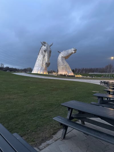 The image displays The Kelpies, two large, intricately structured steel horse-head sculptures, located in The Helix Park, Falkirk, United Kingdom, under a dark, overcast twilight or early night sky. Both sculptures are illuminated from their bases with white-yellow light. The sculpture on the left faces forward and slightly right, while the sculpture on the right has its head tilted back and upwards, mouth agape.
In the foreground to the right, several dark grey picnic tables with integrated benches are arranged in rows on a paved surface. An expanse of green grass fills the left foreground and mid-ground, leading to a curved paved pathway that encircles the base of the sculptures. Water features are visible around the structures. Several small human figures are discernible near the base of the illuminated sculptures. The background features sparse, bare trees and power lines on the left horizon, and a dense line of bare trees with streetlights on the right horizon.