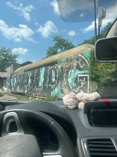 This media file appears to be a photograph taken from inside a vehicle, looking out through the windshield. The perspective suggests the vehicle is in motion, driving past a building covered in graffiti. The graffiti is predominantly white on a dark background with teal accents. The building itself appears to be a long, possibly industrial structure with corrugated metal siding and a weathered appearance.
To the left of the building, there's a clear blue sky with fluffy white clouds, indicating daytime with fair weather. Trees and foliage are visible around the building and in the distance. A street lamp is also visible on the left side of the frame, mounted on a pole.
Inside the vehicle, a plush toy, possibly a teddy bear, is hanging from the rearview mirror or dashboard. The steering wheel and part of the dashboard are visible in the lower right portion of the image. A smartphone is mounted on the dashboard. The dashboard also shows a speedometer with a red warning light illuminated.
There are no people clearly visible in the image, but the presence of the vehicle and the interior elements suggest human activity. The graffiti and the industrial-looking building hint at an urban or semi-urban environment. The overall lighting and the bright sky suggest it's a sunny day. Given the location context of Dolna Vasilitsa, Bulgaria, it's a snapshot of a drive through this area. No legible text is discernible from the graffiti or any other visible elements.