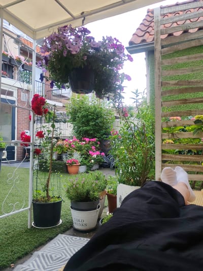 The image depicts a peaceful outdoor scene, likely a private patio or balcony, with a variety of plants and flowers. A person's legs, wearing white socks and black pants, are visible in the foreground, suggesting they are relaxing. Behind them, a white woven fence or screen partially obscures a lush green backdrop of various plants, including blooming pink and red flowers, and a large bush. In the upper left, a hanging basket overflows with purple petunias. The background reveals a brick building and a tiled roof, characteristic of European architecture, and an awning provides shade. The overall atmosphere is serene and summery. This scene is located in Hilversum, Netherlands.