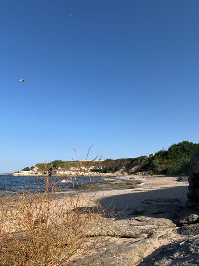 The image depicts a sunny day at a beach in Lozenets, Bulgaria. The sky is a clear, vibrant blue. In the upper left quadrant of the image, two seagulls are in flight. The foreground is dominated by a close-up of dry, brown brush and rocks. Beyond this, a sandy beach stretches towards the sea. Several yellow kayaks are visible on the shore and in the shallow water. A red boat with people on board is also present in the water. Further down the beach, some individuals are seen relaxing or walking. The background features a rocky, vegetated cliffside. The scene conveys a peaceful, recreational atmosphere.
