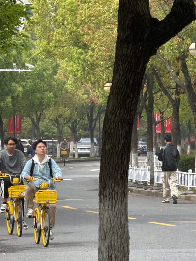 The scene captures a street in Jiangning District, China, likely during a weekday. Several individuals are visible. Two young people are riding yellow shared bicycles on a paved road marked with yellow lines. Another person is walking on the sidewalk lined with white benches and trees. A tree trunk prominently cuts across the image. The roadside features signage with red text and possibly advertisements. Several cars are parked along the street. The environment suggests a moderately overcast day.