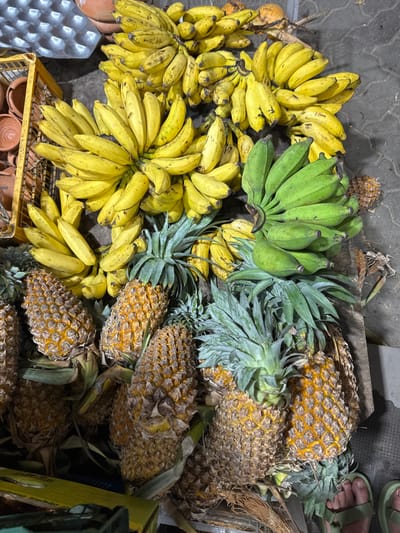 In Ahangama, Sri Lanka, this image captures a vibrant outdoor market scene. The foreground is dominated by a variety of fresh produce. Several large pineapples, with their distinctive spiky exteriors and leafy green crowns, are prominently displayed, some with a golden-yellow hue indicating ripeness. Interspersed with the pineapples are numerous bunches of bananas. Some bunches consist of bright yellow, ripe bananas, while others feature clusters of green, unripe bananas. The fruits are laid out on a wooden surface, suggesting a stall or market display. In the background, a metal egg carton is visible, along with terra cotta pots, hinting at the agricultural or artisanal nature of the surrounding area. The ground appears to be paved or concrete. The overall impression is one of abundance and fresh, natural produce at a local market.