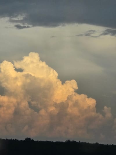 The image depicts a dramatic sky filled with clouds over a silhouetted treeline. The clouds exhibit a gradient of colors, with bright white and golden hues dominating the center, likely illuminated by the sun, while darker grays and blues are present in the upper portions. The lower part of the image shows a dark, indistinct horizon line, suggesting trees or a distant landscape. The overall impression is one of a dynamic and possibly approaching storm or sunset. The provided context specifies the location as Vincentava, Lithuania, which is a rural area characterized by forested landscapes. There are no people or specific objects visible in the image, only natural elements.