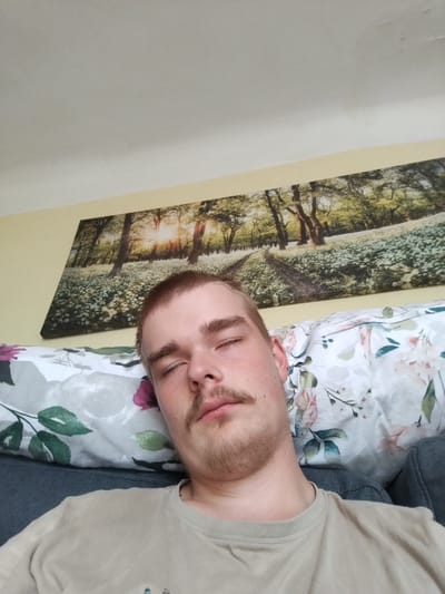 A young man with closed eyes and a light brown mustache is lying down on a couch, with his head resting on a pillow. The man is wearing a light brown t-shirt. Behind him, a large rectangular artwork depicting a forest scene with a path and a sunlit sky is mounted on a yellow wall. The pillow is adorned with a floral pattern featuring green leaves and pink and white flowers. The couch appears to be upholstered in a dark grey fabric. The overall lighting suggests an indoor setting, likely a living room. The image does not provide any specific visual cues to pinpoint its location in Cēsis, Latvia.
