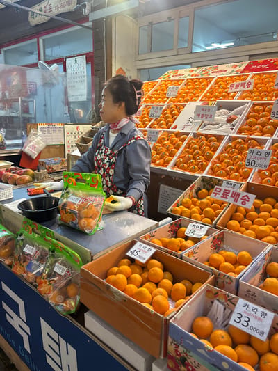 This media file captures a vibrant market scene in Seogwipo-si, South Korea. The central subject is a woman, likely a vendor, wearing an apron adorned with a floral pattern and a red and white bandana around her neck, along with gloves. She is tending to a display of fresh produce, primarily oranges. The oranges are presented in various packaging, including plastic bags and cardboard boxes, with labels indicating their type, weight, and price in Korean Won. Some of the visible text on these labels includes "카라향" (Kara Hyang, likely a variety of orange), and prices like "35,000원", "43,000원", and "30,000원".
The background is filled with more crates and boxes of oranges, suggesting a large quantity for sale. Other produce, like mangoes, are also visible. Behind the oranges, there are calendars and signs, some with Korean text. One sign prominently displays "무료배송" (Free Shipping), indicating a service offered by the vendor. The lighting suggests it could be daytime, possibly late morning or afternoon, within an indoor or covered market setting. The overall atmosphere appears to be one of commerce and the abundance of fresh, locally sourced fruit. The woman's focus on her task suggests a busy workday. The presence of multiple labels and pricing information points to a commercial transaction environment.