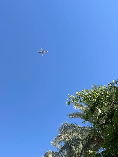 An airplane is visible in the clear blue sky above a section of Sharm El Sheikh, Egypt. The airplane is a fixed-wing aircraft with two engines, its underside predominantly white with dark blue accents and red wingtips. It is flying at an altitude that makes it appear small against the vast expanse of the sky. In the lower right portion of the image, the tops of palm trees and other lush green foliage are visible, their leaves catching the sunlight. The natural environment suggests a sunny day, characteristic of the coastal city.