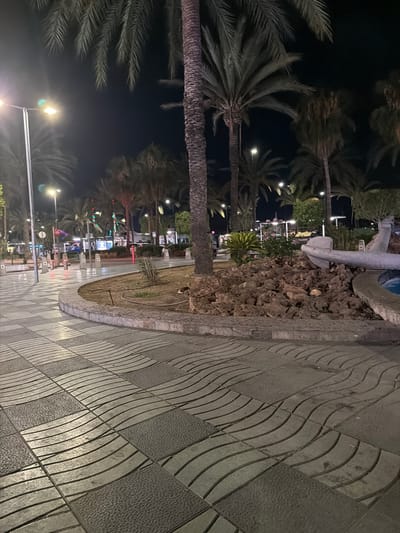 This image depicts a nighttime scene in Sant Antoni de Portmany, Spain, likely a pedestrian area or promenade. The foreground features a distinctive tiled walkway with a wavy pattern. Beyond the walkway, a garden area with soil and some foliage is visible. Several palm trees are scattered throughout the scene, their fronds illuminated by the surrounding lights. In the background, there are streetlights and some decorative lights, possibly string lights, on trees, suggesting a festive or well-lit public space. Some distant structures and possibly people can be seen, though they are indistinct due to the low light and distance. The overall impression is that of a public space at night, illuminated for evening activity.