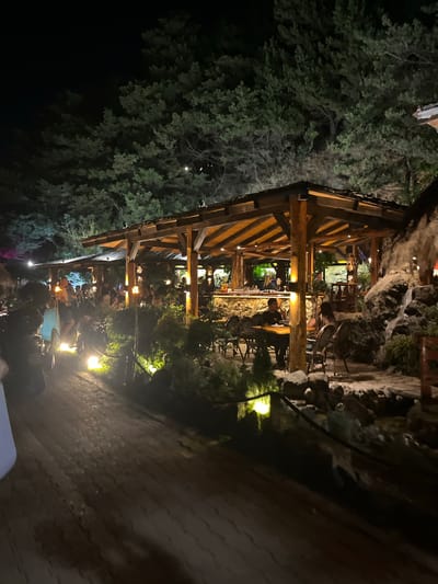 The image presents an outdoor dining and bar establishment at night, situated within a densely treed environment in Bečići, Montenegro. A central, open-sided pavilion features a gabled wooden roof supported by heavy timber beams. The roof's underside is brightly illuminated by numerous embedded warm-toned lights, complemented by torch-like fixtures attached to the vertical wooden posts.
Multiple individuals are present throughout the establishment, engaged in dining and socializing. Within the pavilion, patrons are observed seated at various dark tables with matching chairs, and some are standing. A long bar counter, stocked with bottles and glassware, is visible at the rear of the structure, with an individual standing behind it.
The foreground comprises a dark, textured pathway, possibly wooden or gravel, illuminated by evenly spaced warm yellow ground lights. To the right of this path, a dark body of water, possibly a pond or stream, is bordered by a dark rope or barrier. Adjacent to the right side of the main pavilion structure, a constructed rock formation incorporates a small waterfall or water feature. Green foliage and shrubs are integrated into the landscaping around the pavilion and along the water.
The background is characterized by a dense canopy of dark green coniferous trees, suggesting a forested or heavily vegetated setting. A faint, circular light source is visible through the tree canopy in the upper right quadrant of the image. A partial light blue object is visible in the immediate left foreground.