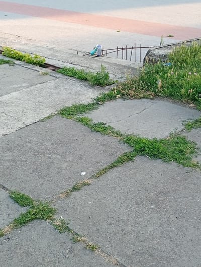 An outdoor scene shows a cracked concrete sidewalk with grass growing through the cracks. In the background, a strip of red and grey pavement runs parallel to the sidewalk, suggesting a road or pedestrian walkway. To the right, a rocky embankment is covered in dense green vegetation, with small pink flowers visible. In the middle ground, a metal grate with vertical bars runs along the edge of the sidewalk. Two white and blue plastic bottles are resting on the grate. The overall setting appears to be a public outdoor area in Chișinău, Moldova, possibly a park or a street with overgrown vegetation.