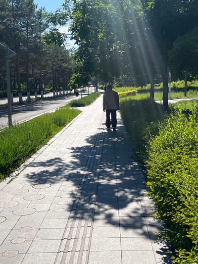 A person is walking on a light grey patterned stone walkway in a park-like setting. The walkway is bordered on one side by a low border of green grass and then a road, and on the other side by a taller hedge. Trees line the walkway, casting shadows on the path and the person. Sunlight is visible through the trees. The location is Changchun City, China.