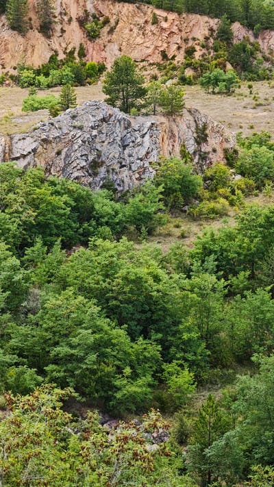 This image depicts a rocky, overgrown hillside with a prominent rock formation in the middle ground. The rock face is a mix of gray and reddish-brown, with visible layers and cracks. Lush green trees and shrubs cover the lower and middle portions of the hillside, with sparse dry grass and smaller trees dotting the upper areas. The background shows more of the reddish-brown rock face of the hill. There are no people or man-made structures visible in the image. The scene is natural and appears to be a remote or undeveloped area. This location is likely within the wider natural landscape surrounding the city of Pernik, Bulgaria, given the geological features and vegetation visible.