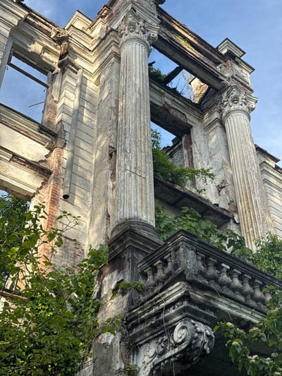 The image shows the ruins of a building in Tsanbaikwara, Abkhazia. The structure is dilapidated, with crumbling facades, exposed brickwork, and missing sections. Tall fluted columns with ornate capitals are partially intact. Vegetation, including green plants and vines, grows on and around the ruins. The sky is visible through the openings in the structure.