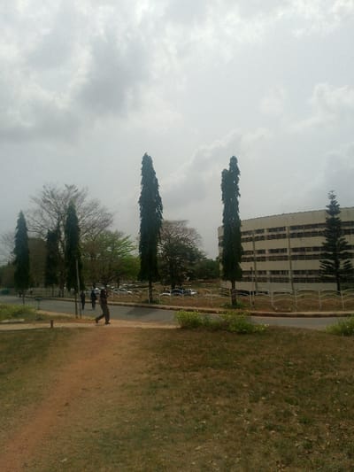 The scene depicts an outdoor, possibly institutional, environment in Adzho, Nigeria, under an overcast sky. The foreground consists of dry, reddish-brown earth and sparse, desiccated grass. A paved road spans the midground, featuring a low, white decorative metal fence along its right edge. Behind this fence, several tall, slender evergreen trees with dense, dark foliage stand prominently, interspersed with other deciduous trees, some with bare branches and others showing light green leaves. A parking area with multiple light-colored vehicles is visible beyond the trees. In the right background, a multi-story, light-colored building with numerous rectangular windows is present; some windows appear darkened or obscured. A single, slender conifer stands to the right of this building.

Three individuals are visible. One male figure, dressed in dark clothing, walks from right to left across the paved road, with his right arm bent. Two other figures are partially visible further left on the road, moving in a similar direction. The sky above is uniformly overcast with light grey cloud cover.