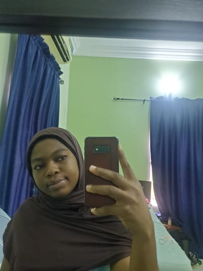 A person wearing a brown head covering holds a smartphone in their right hand, taking a selfie in a room. The room has light green walls and blue curtains. An air conditioning unit is visible in the background. The location is likely an interior space in Barden Yana, Nigeria.