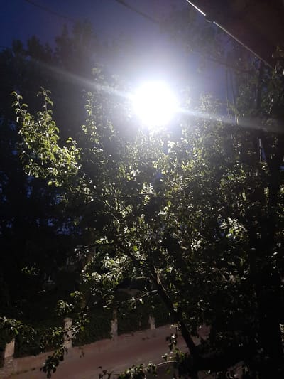 The image depicts a nighttime scene with a bright street lamp illuminating a leafy tree. The lamp is positioned in the upper central portion of the frame, casting a strong glare and creating lens flare effects. Branches and leaves of the tree are visible, with some leaves catching the light and appearing bright green, while others are silhouetted against the darker sky. In the background, a dark sky is visible, with faint outlines of other trees and possibly structures. Below the tree, a fence with stone pillars and ivy-covered sections can be seen, bordering a pathway or road. The overall impression is an urban or suburban outdoor setting at night, illuminated by artificial light. No people or specific actions are depicted.