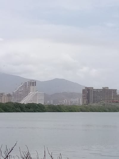 This is a medium-distance, eye-level, full-shot photograph of the coast in Porlamar, Venezuela. In the foreground, a body of water is visible, with bare branches of dead vegetation in the lower left corner. In the middle ground, a line of dense green trees runs along the shoreline. Behind the trees, two large buildings are visible. The building on the left is a tiered, white structure with numerous windows. The building on the right is a rectangular, multi-story building with many windows. In the background, a hazy mountain range is visible under a cloudy sky. The overall lighting is overcast.