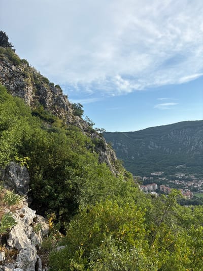 The image displays a steep, rocky incline covered in lush green vegetation, overlooking a town nestled on the side of a mountain. The sky above is a pale blue, with wispy white clouds streaking across it. The sunlight suggests it is daytime, likely late morning or early afternoon.

The foreground is dominated by rough, grey rocks and dense green foliage, with some of the leaves appearing yellowish, possibly indicating the season or dry conditions. The midground shows more of the rocky mountain slope, also interspersed with trees and shrubs.

In the background, a hillside town is visible, characterized by numerous buildings with terracotta roofs. These structures are densely packed and cascade down the steep terrain, indicating a settlement built into the mountainous landscape. The larger mountain behind the town is covered in dark green trees, forming a striking contrast with the lighter vegetation in the foreground.

The overall scene evokes a sense of natural beauty and the integration of human habitation with a rugged environment. There is no visible text in the image. The angle of the shot suggests the photographer is positioned high up on the mountain, looking down towards the town and across the valley.