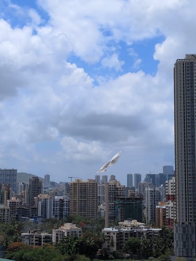 This image captures a cityscape of Mumbai, India, likely from an elevated perspective. The sky is filled with a mix of blue patches and white, fluffy clouds, suggesting fair weather with some cloud cover. In the foreground, a large, tall, modern building with a grid-like facade dominates the right side of the frame. To the left, the view opens up to a dense urban landscape with numerous multi-story buildings of varying architectural styles and heights, indicative of a densely populated metropolitan area. Among these buildings, some appear to be under construction, with green netting visible. Lush green trees and foliage are interspersed throughout the urban sprawl, softening the starkness of the concrete structures. A prominent white object, possibly a large piece of plastic sheeting or fabric, is seen floating mid-air in the sky, its shape distorted by the wind. The overall scene presents a typical view of Mumbai's urban development, characterized by its high-rise architecture and a mix of greenery.