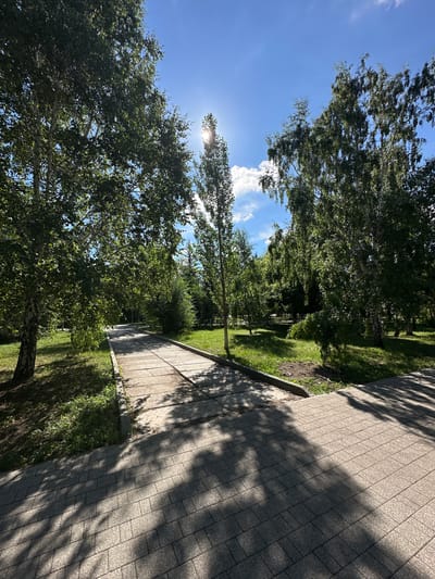 The image shows a sun-drenched park pathway in Kokshetau, Kazakhstan. Tall deciduous trees with lush green foliage line the paved walkway, casting dappled shadows across the concrete and tiled sections of the path. The sky is a clear, bright blue with a few wispy clouds, and the sun is positioned high, creating a lens flare effect through the branches of a tree in the center of the frame. The pathway appears well-maintained, with grass and smaller bushes growing along its edges. The scene evokes a sense of calm and natural beauty, typical of a summer day in a city park.