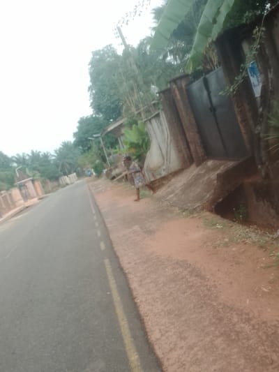 The image displays a tilted street scene in Alor, Nigeria, captured from a slightly elevated perspective, looking down a paved road. The road, composed of dark grey asphalt, features a continuous yellow line on its right edge and dashed white lines indicating lane separation further into the distance. Adjacent to the road, a reddish-brown dirt and gravel shoulder is present, separated by a concrete curb.
On the right side of the scene, a single adult individual is standing barefoot on the dirt shoulder, positioned near a concrete wall. The individual is wearing a patterned garment and appears to be holding a long, slender object vertically with their right hand. Their posture suggests they are observing something down the road, with their body slightly turned to their left.
Behind the individual, a robust concrete wall with a dark metal gate is visible. A large, green banana leaf extends over this wall, and a small poster is affixed to its surface. Below the wall on the far right, a concrete drainage structure is discernable.
The environment is characterized by abundant green vegetation, including tall trees and broad-leafed plants, which line both sides of the street and frame the visible structures. In the background, further down the road on the left, additional buildings with reddish-brown walls are partially visible through the foliage. The sky overhead is uniformly overcast and bright white. No other people, vehicles, or significant actions are visible.