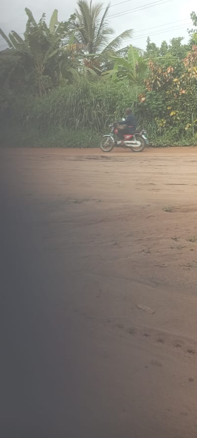 The image depicts a man riding a motorcycle on a dirt road in Amauzu, Nigeria. The road is flanked by dense vegetation, including banana trees, tall grasses, and other leafy plants. The sky is overcast, suggesting cloudy weather. The road itself shows signs of wear and tear, with some bare patches.