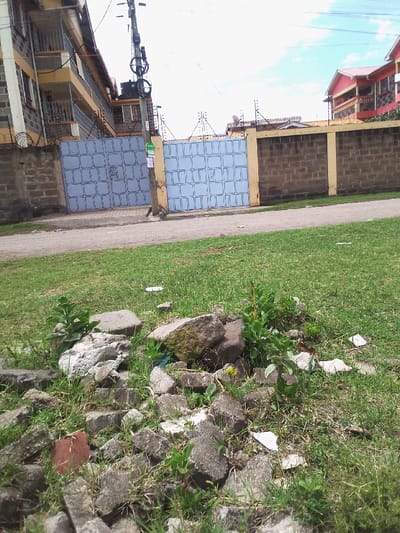 This image depicts an exterior scene in Nakuru, Kenya, viewed from a low angle across a grassy area.

In the foreground, a substantial pile of fragmented concrete and masonry rubble, including a single red brick, rests on unkempt green grass interspersed with small broadleaf plants. Several pieces of white paper debris are scattered on the ground amidst the grass and rubble.

The midground features an unpaved dirt path that extends horizontally across the frame. To the left of this path, a light-brown wooden utility pole, secured with multiple black wires, insulators, and a cylindrical transformer, stands upright. A small green rectangular sign is affixed to the pole. Adjacent to the pole, two light-blue metal gates, each featuring a repetitive grid of raised square patterns, provide access through a perimeter wall.

The perimeter wall, primarily composed of dark grey concrete blocks, has a yellow-painted coping and is topped with multiple strands of razor wire.

In the background, to the left, a multi-story residential building with yellow and grey painted sections and multiple balconies is visible, its own surrounding wall also fortified with razor wire. To the right, a portion of another residence with a distinct red tiled roof and a pink-orange exterior is discernible. The sky above is partly cloudy.

No individuals are visible. A small, light-colored, amorphous object is present at the base of the utility pole, its nature indeterminate.