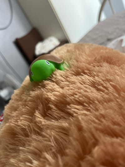 The image depicts a close-up of a fuzzy, light brown blanket or stuffed animal with a small green toy turtle partially submerged in its fibers. The turtle has a brown shell and a green head with two eyes. The background is blurred, showing what appears to be a white wall and possibly furniture. There is no discernible indication of the location being in Nijmegen, Netherlands, or any specific urban environment. The scene is static, with no actions or interactions taking place. The focus is on the texture of the blanket and the toy turtle.